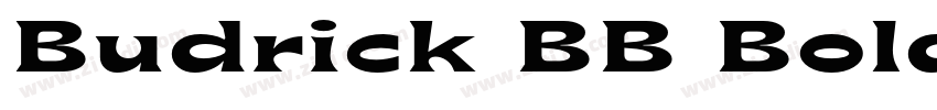 Budrick BB Bold字体转换